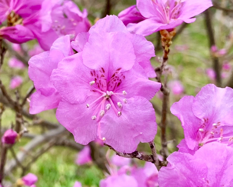 IMG_4679.jpg?type=w966