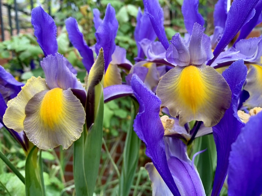 IMG_9699.jpg?type=w966