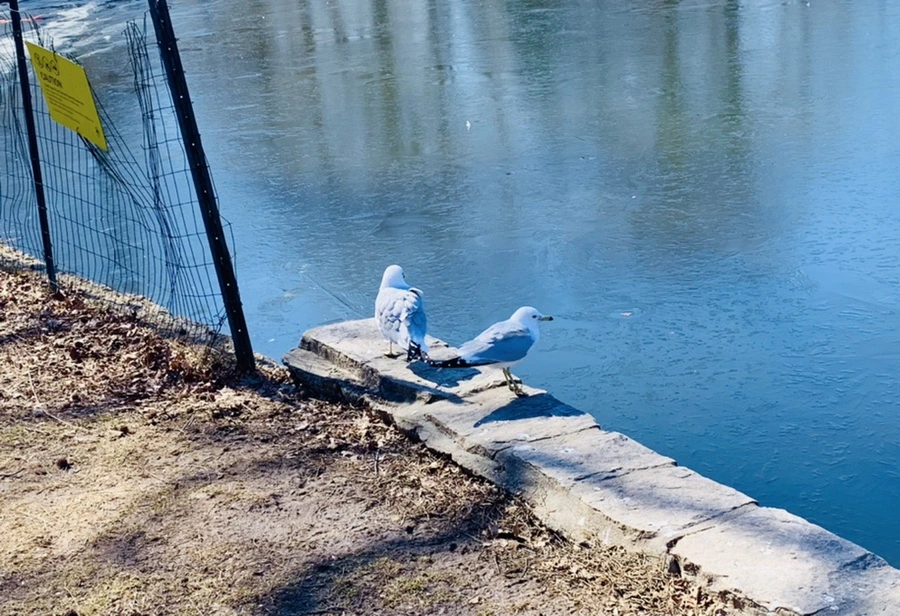 IMG_8900.jpg?type=w966