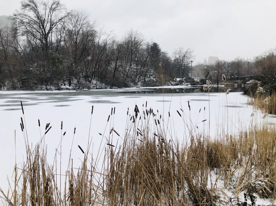 IMG_3737.jpg?type=w966