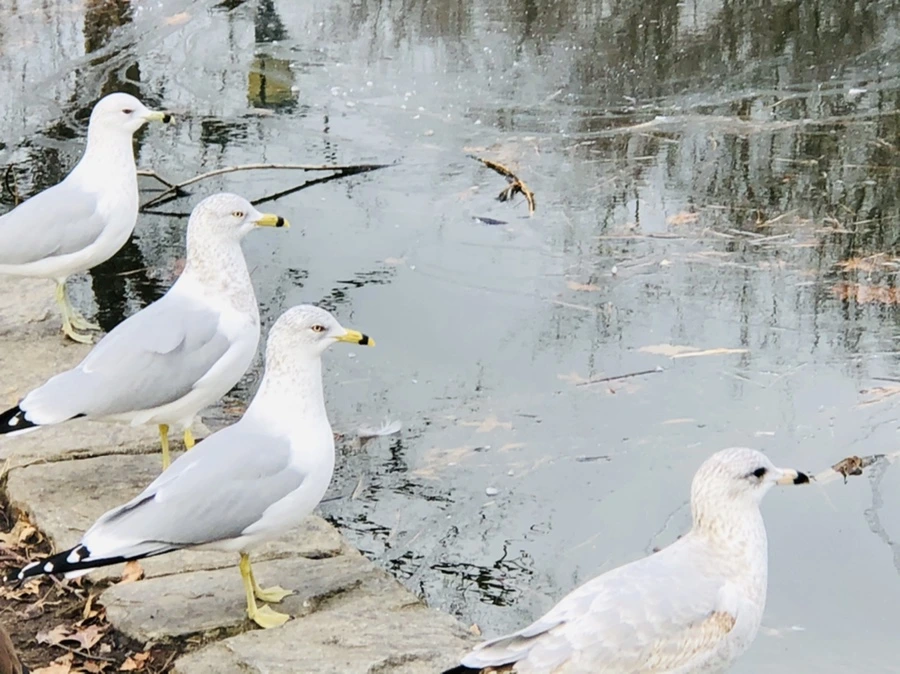 IMG_0027.jpg?type=w966