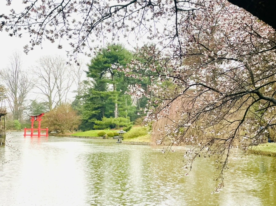 IMG_7340.jpg?type=w966