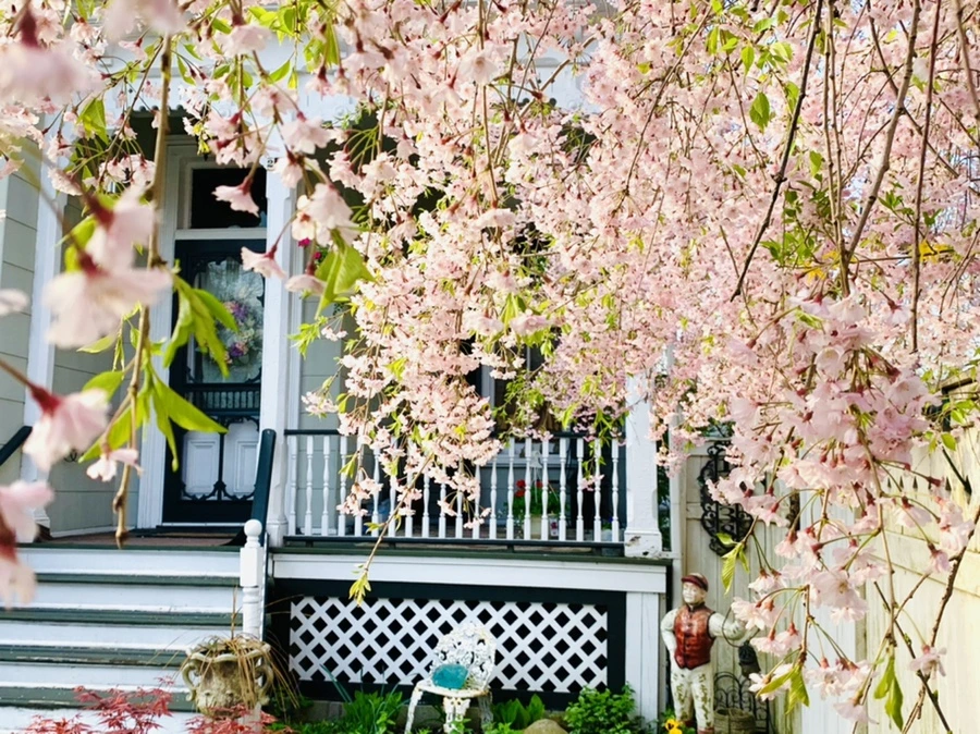 IMG_3739.jpg?type=w966