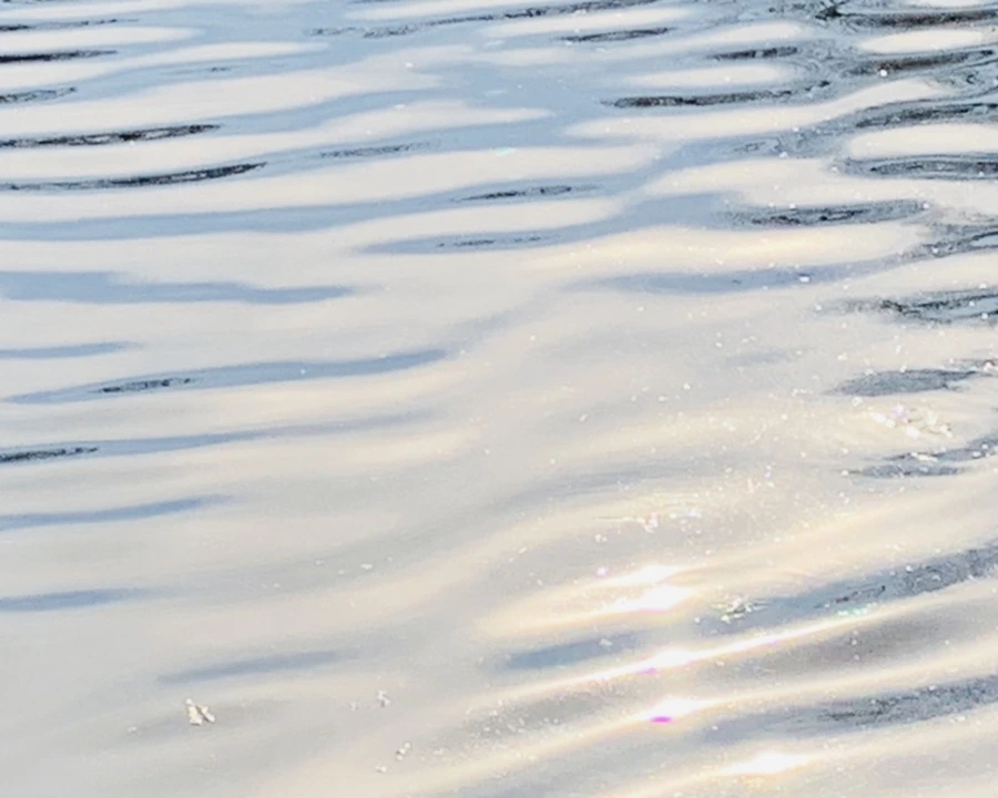 IMG_0356.jpg?type=w966