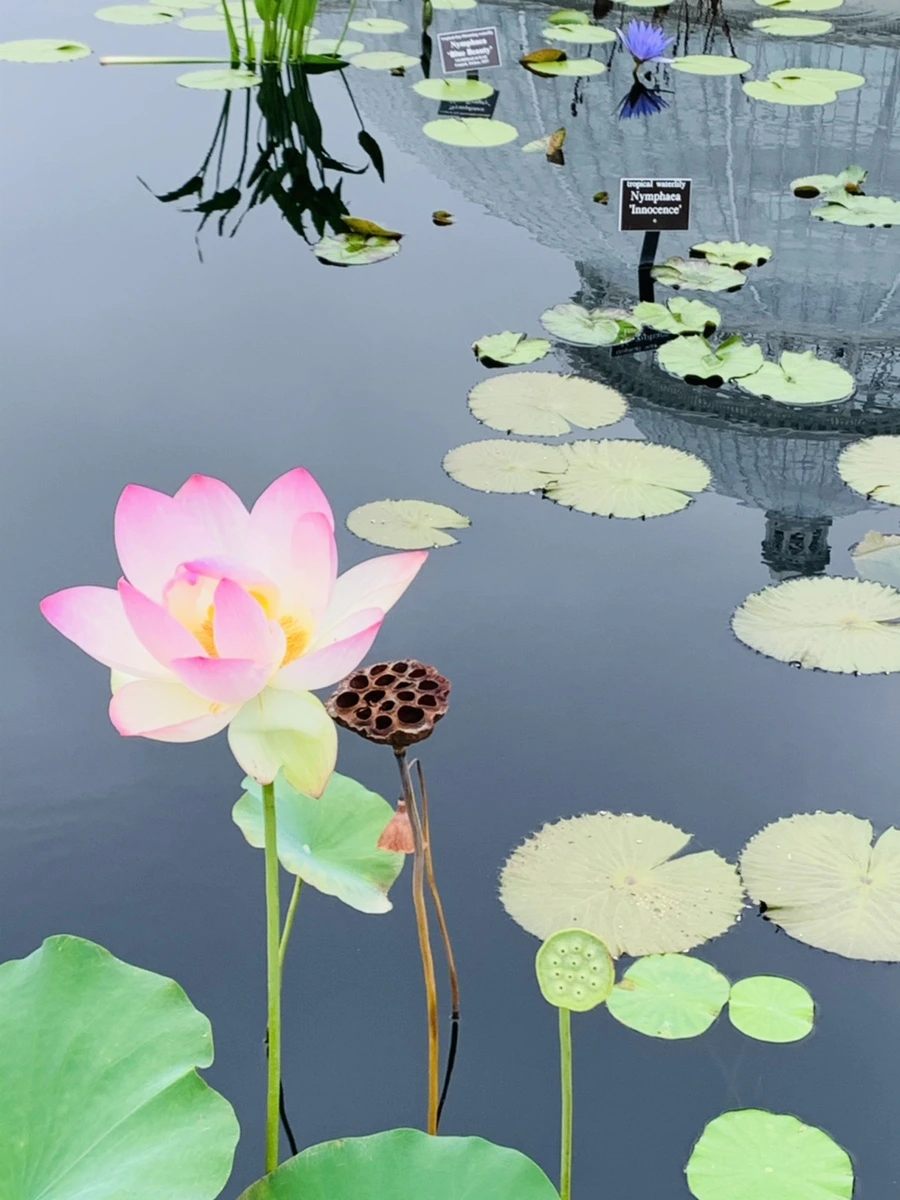 IMG_6460.jpg?type=w966