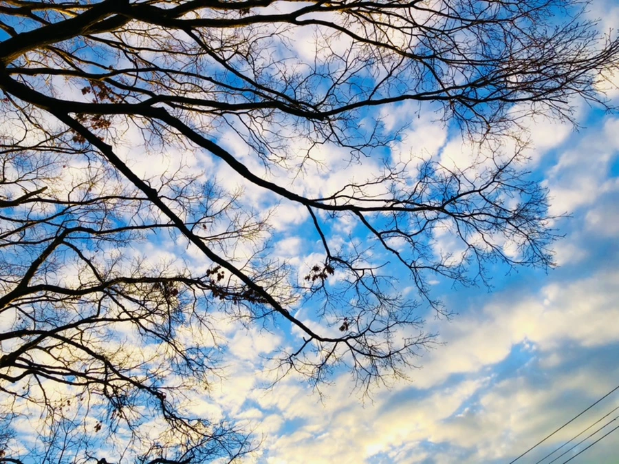 IMG_4863.jpg?type=w966