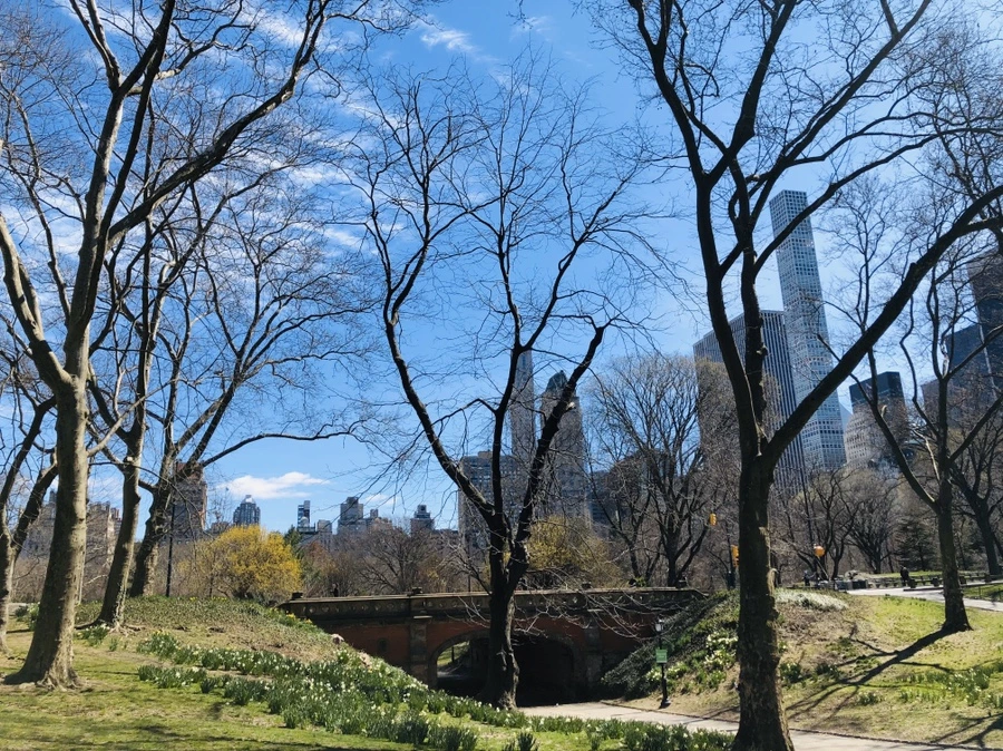 IMG_6619.jpg?type=w966