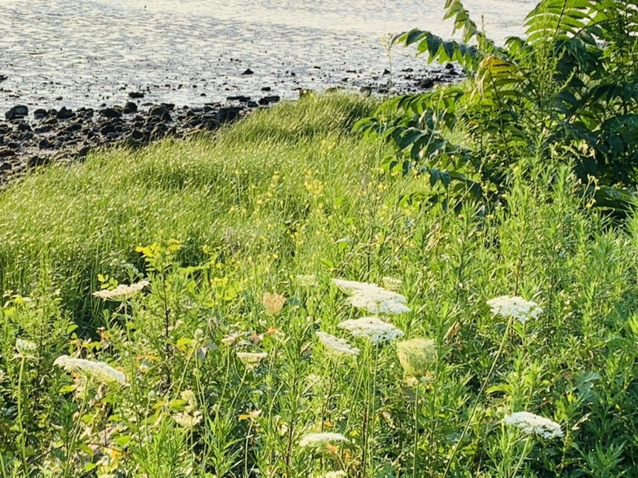 IMG_9812.jpg?type=w966