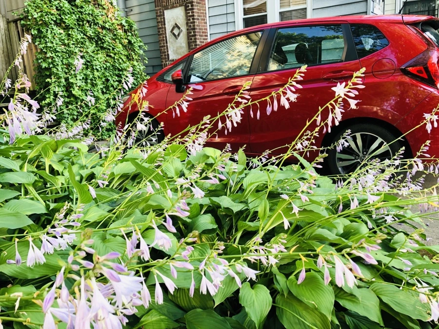 IMG_1863.jpg?type=w966