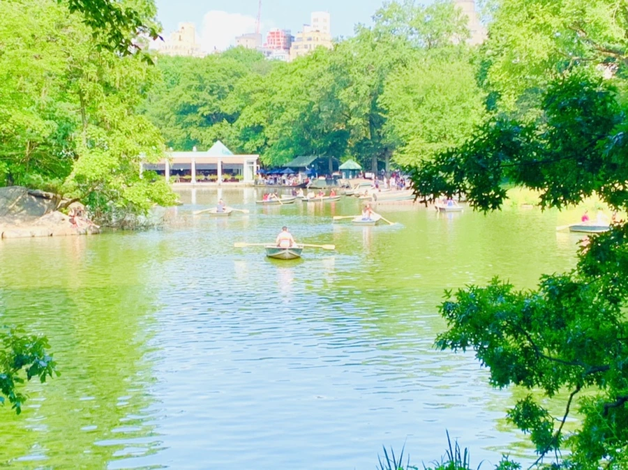 IMG_0650.jpg?type=w966