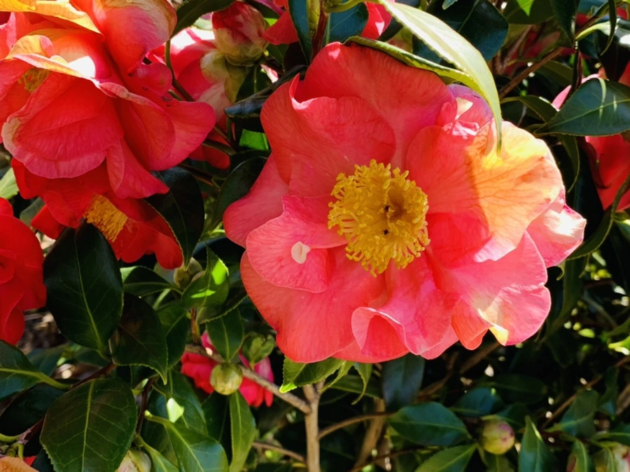 IMG_8191.jpg?type=w966