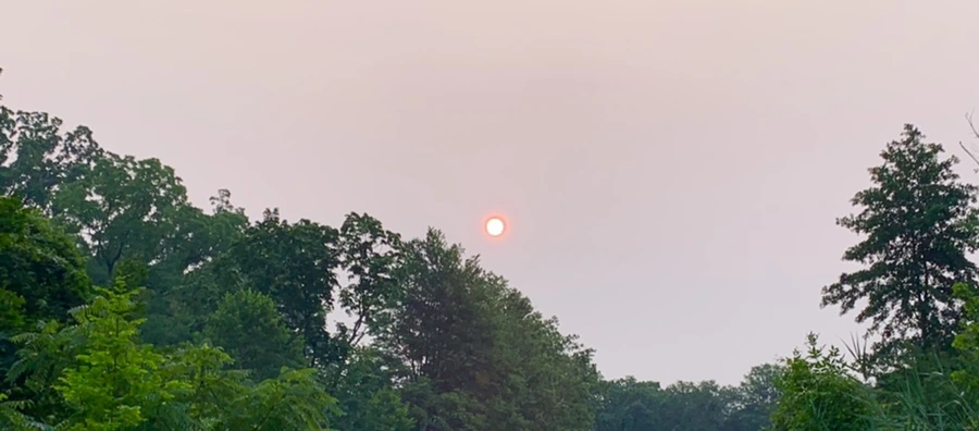 IMG_8044.jpg?type=w966