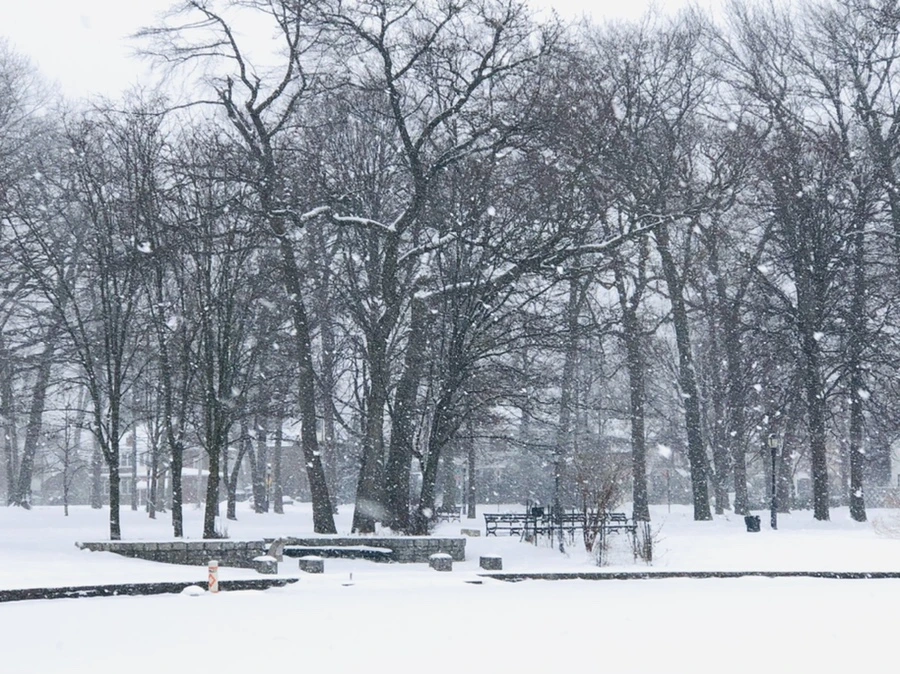 IMG_3372.jpg?type=w966