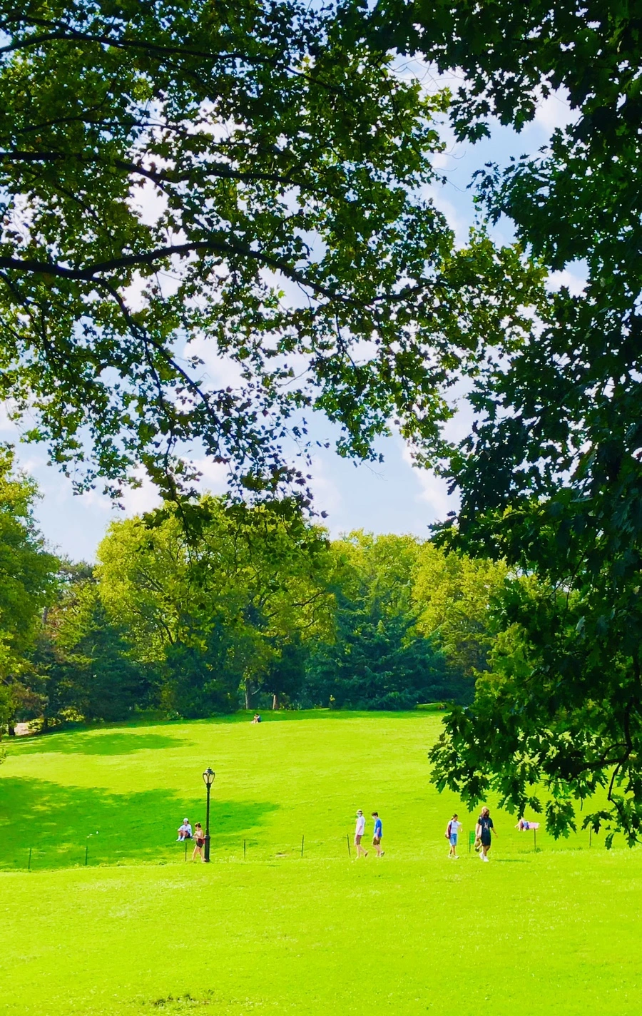 IMG_8632.jpg?type=w966