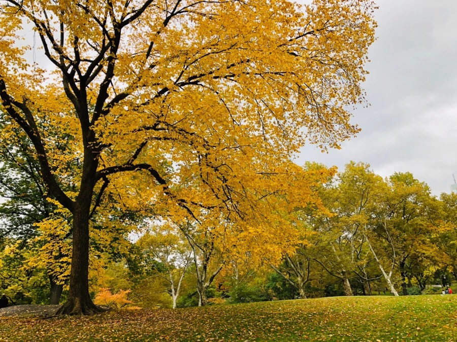 IMG_7267.jpg?type=w966