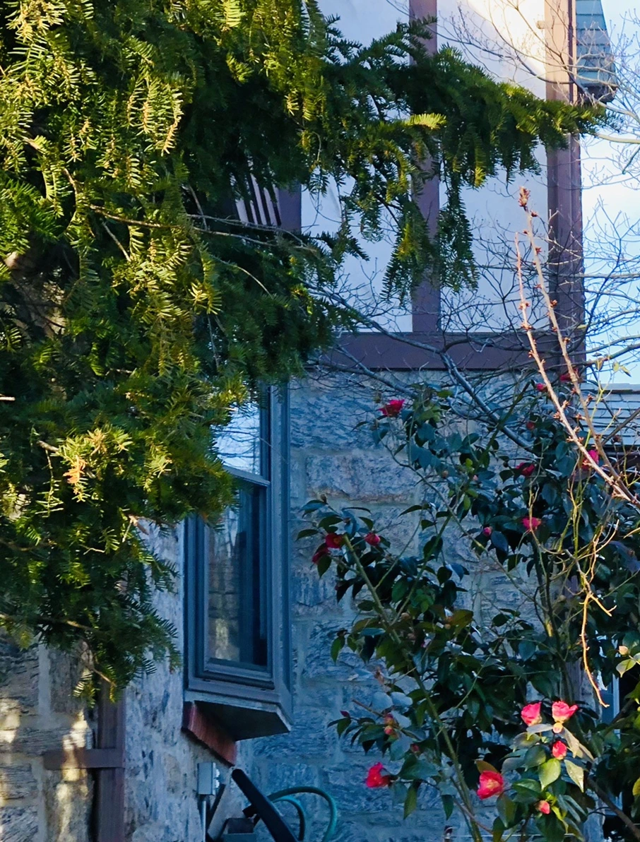 IMG_1379.jpg?type=w966