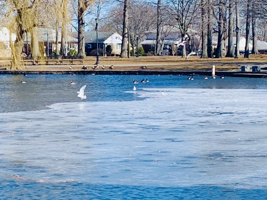 IMG_6800.jpg?type=w966