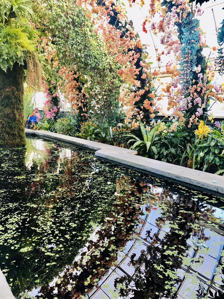 IMG_6274.jpg?type=w966