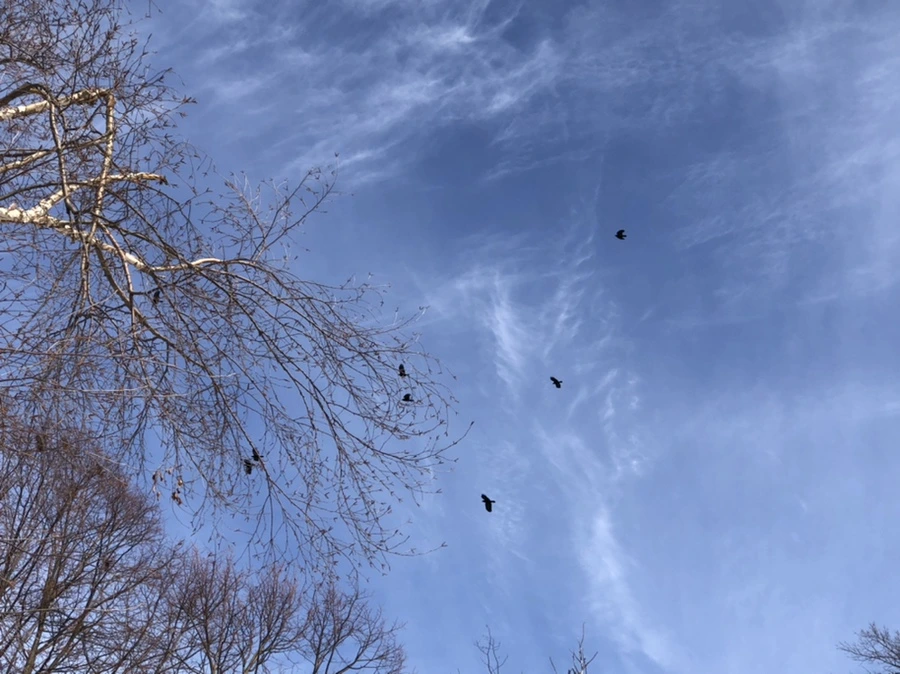 IMG_3102.jpg?type=w966