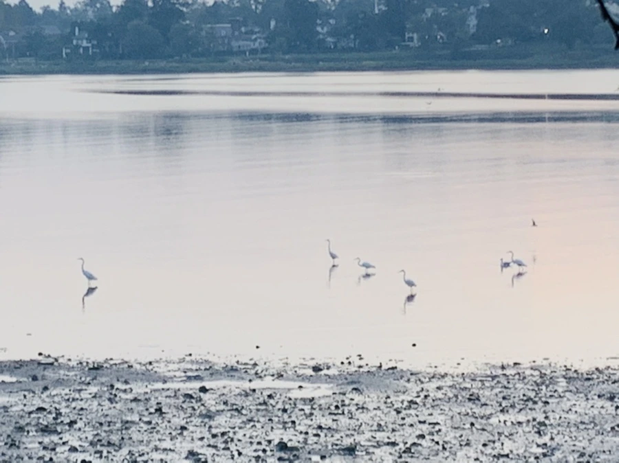 IMG_8170.jpg?type=w966