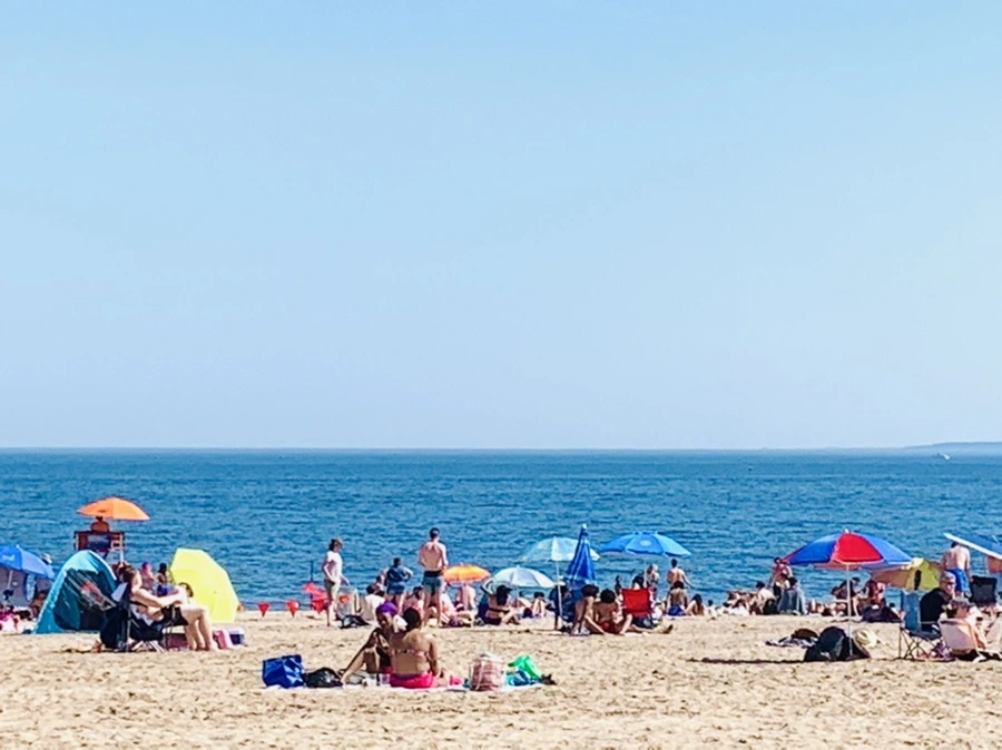 IMG_1104.jpg?type=w966