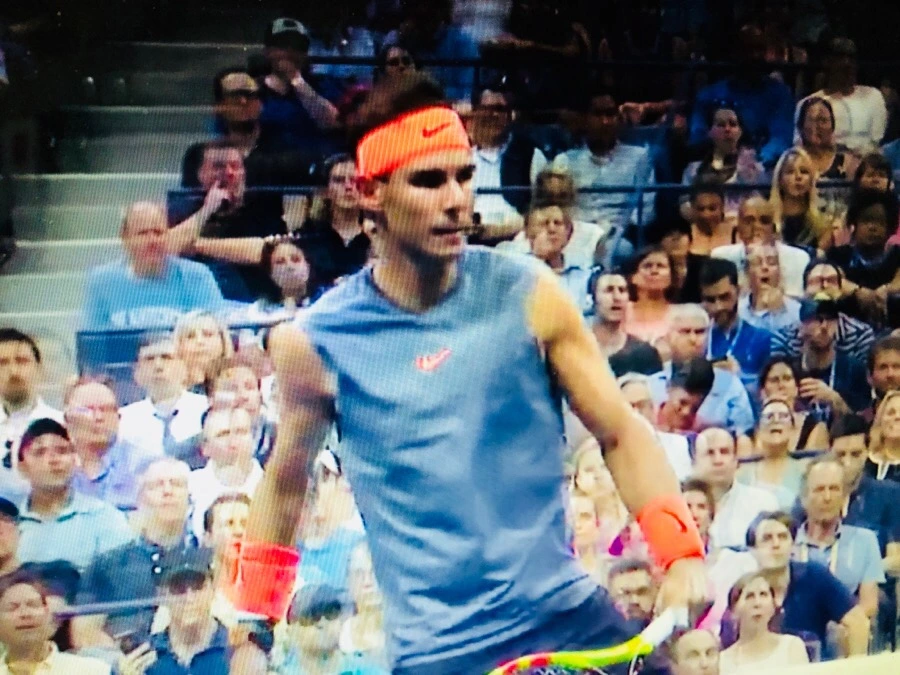 IMG_3994.jpg?type=w966