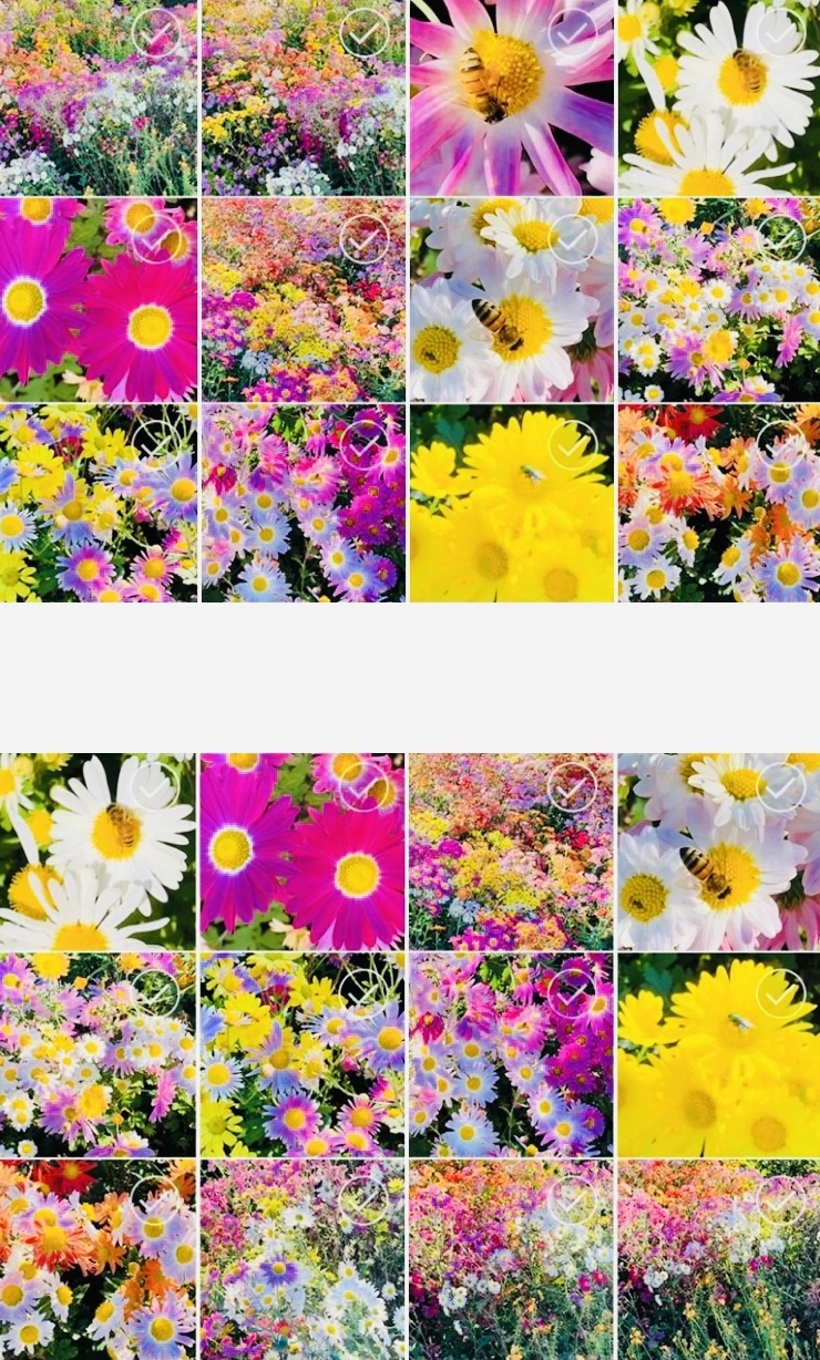 IMG_9235.jpg?type=w966