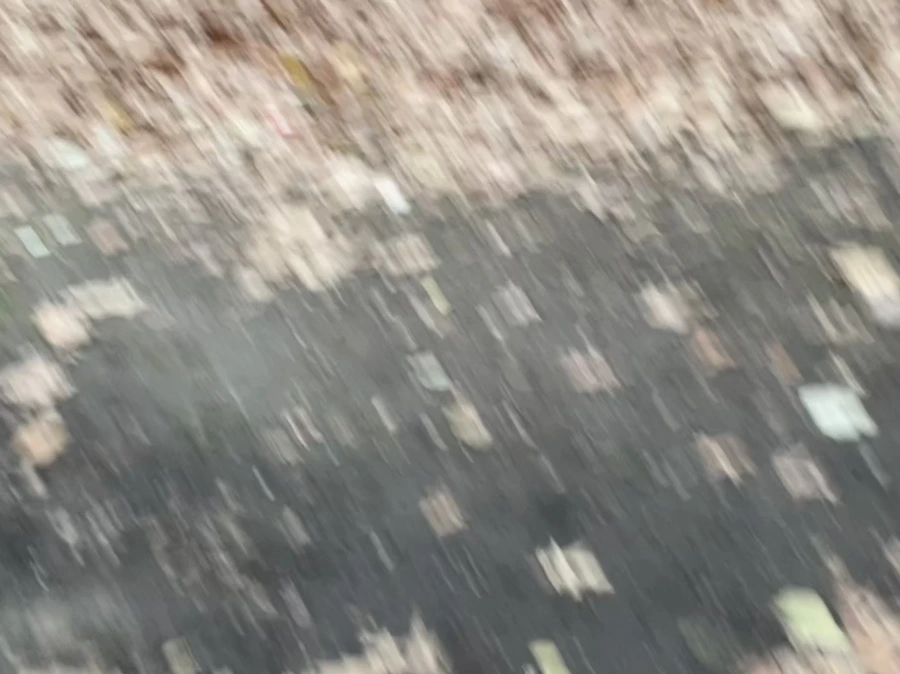 IMG_6241.jpg?type=w966