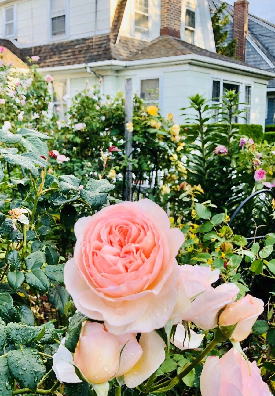 XlWyPqYFNnk_8fuvGYtvg7JylhE