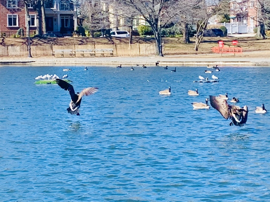 IMG_6644.jpg?type=w966