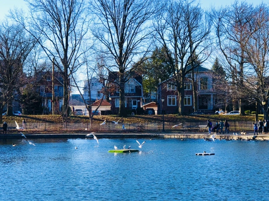 IMG_9256.jpg?type=w966