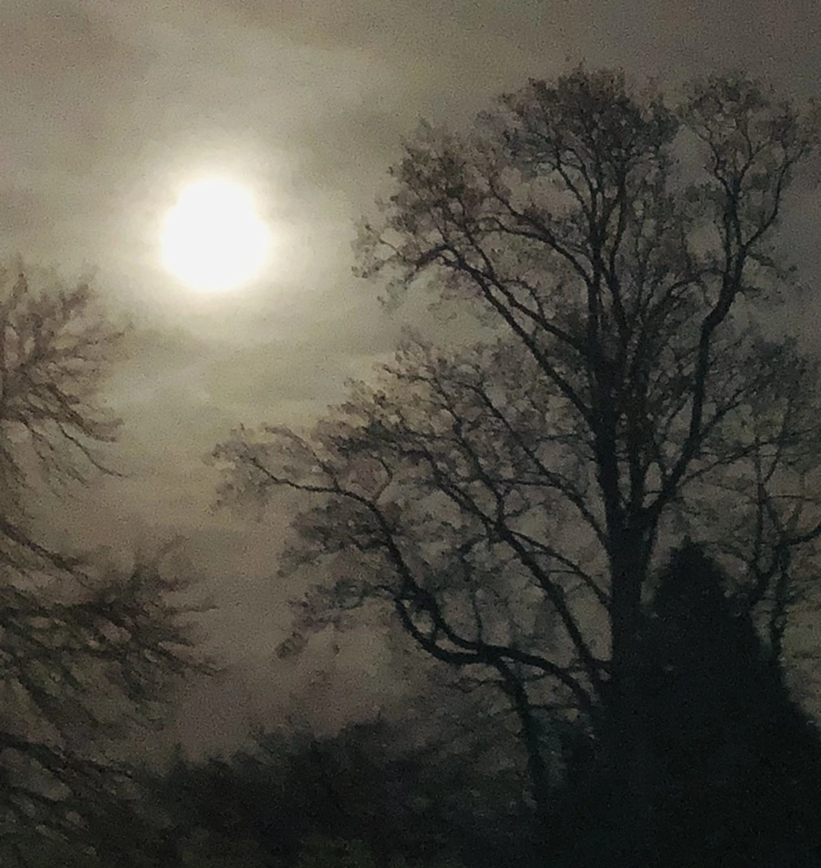 IMG_8575.jpg?type=w966