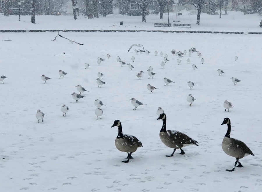 IMG_4160.jpg?type=w966