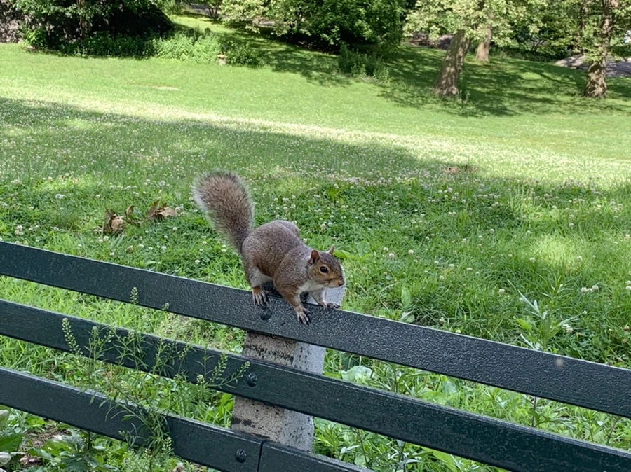 IMG_6474.jpg?type=w966