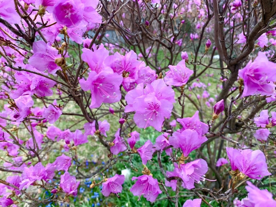 IMG_4799.jpg?type=w966