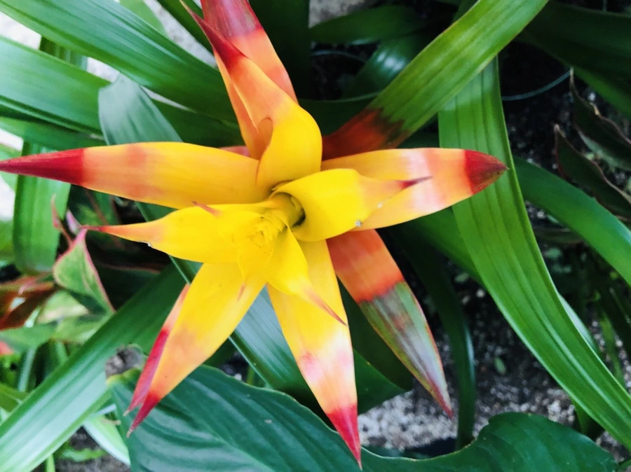 IMG_1540.jpg?type=w966