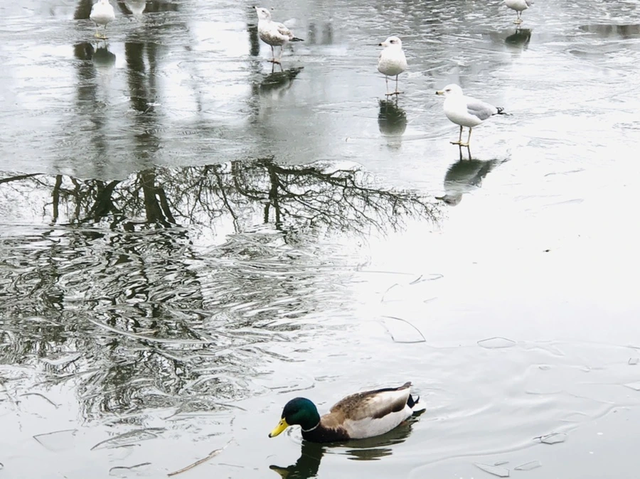 IMG_9027.jpg?type=w966