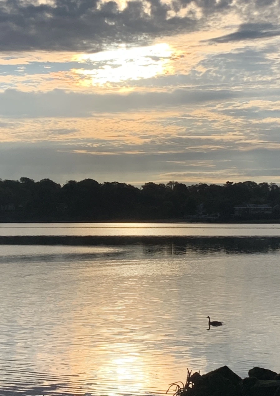 IMG_7734.jpg?type=w966