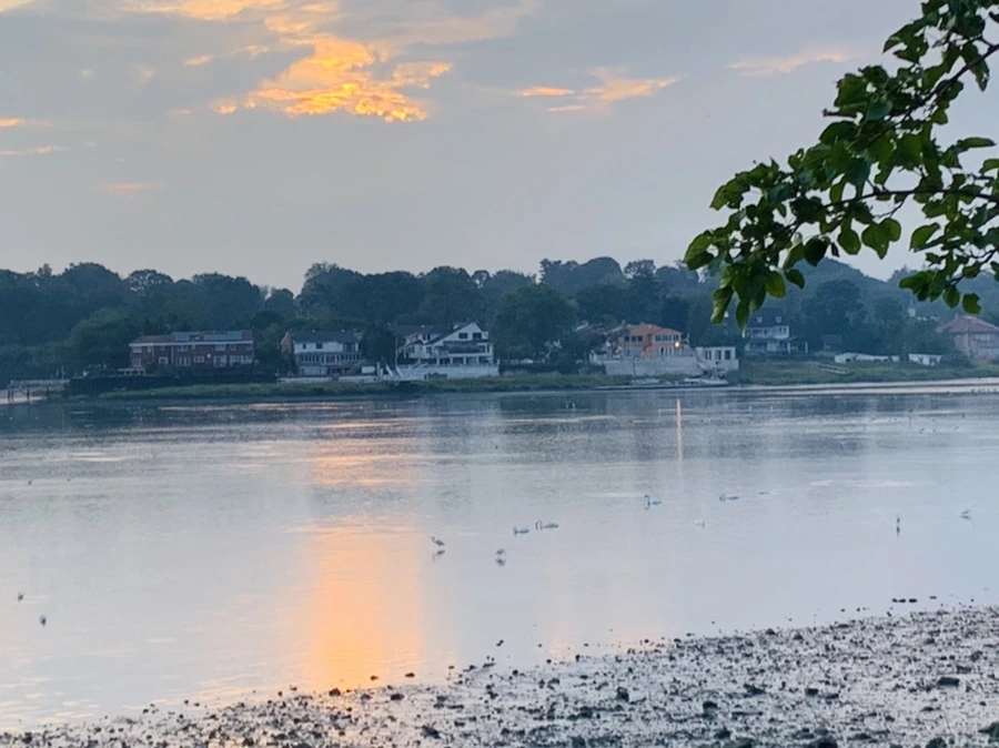 IMG_8197.jpg?type=w966