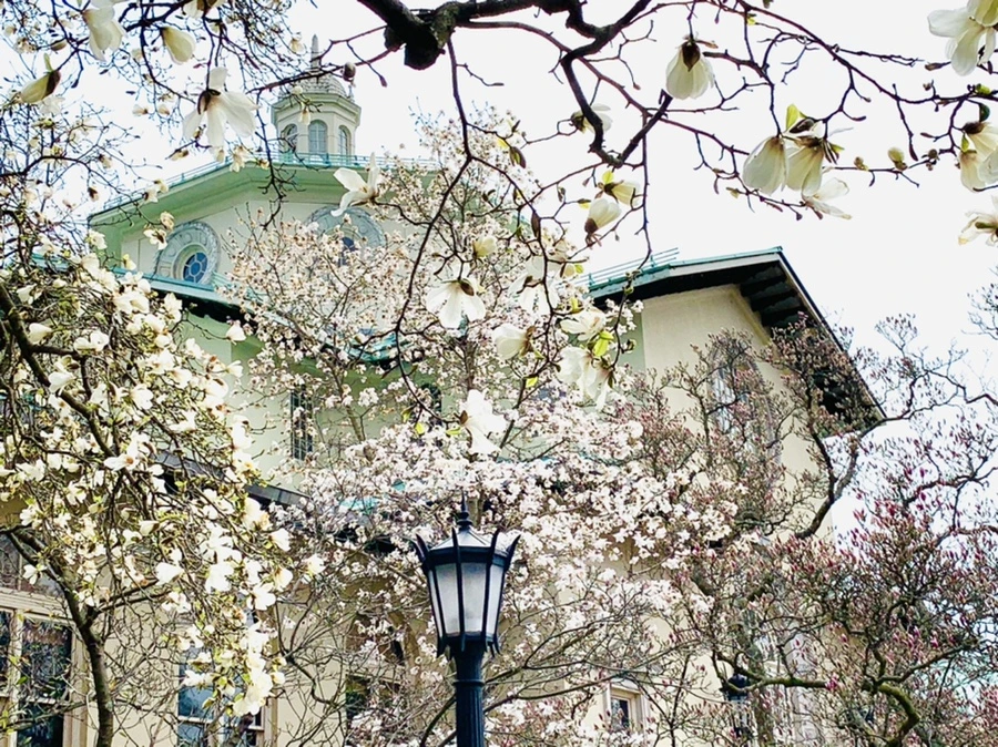 IMG_7153.jpg?type=w966