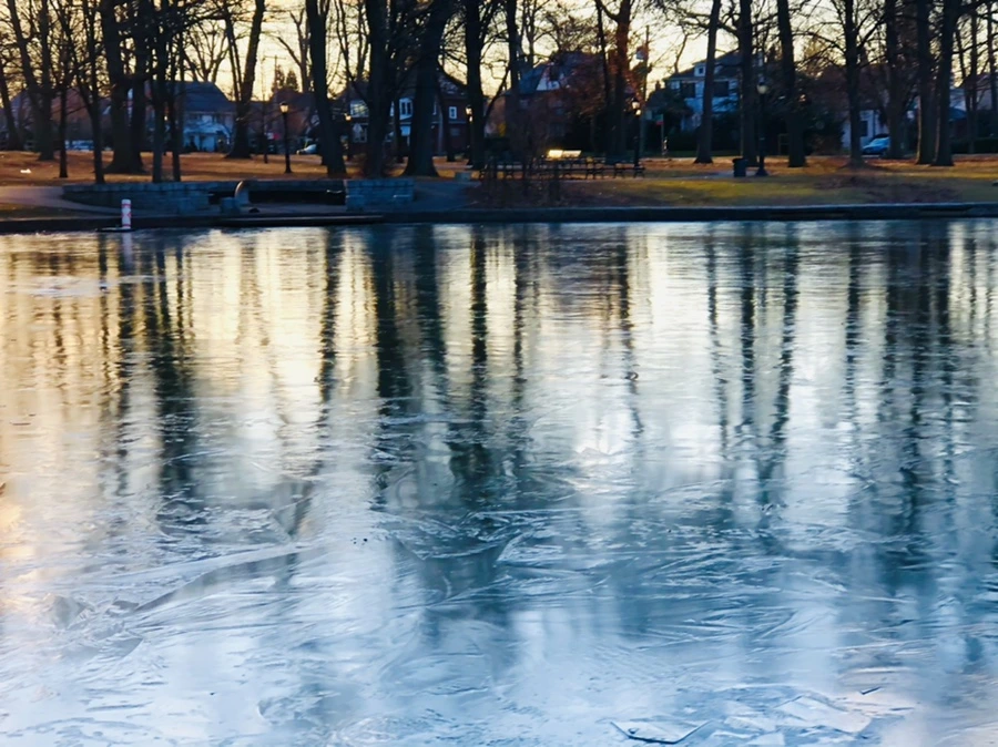 IMG_4918.jpg?type=w966