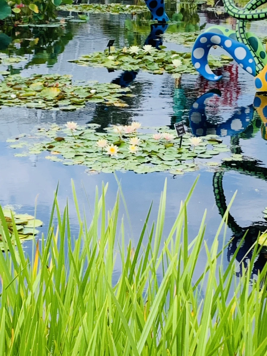 IMG_9034.jpg?type=w966