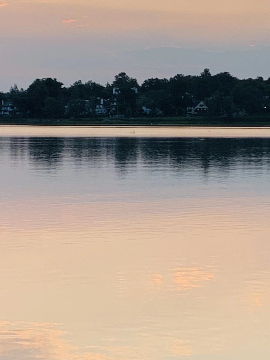 IMG_4608.jpg?type=w966