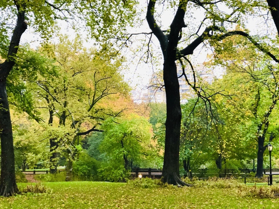 IMG_3133.jpg?type=w966