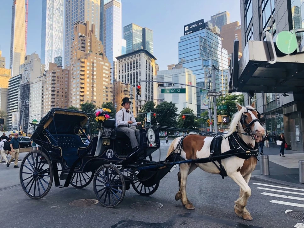 IMG_0820.jpg?type=w966