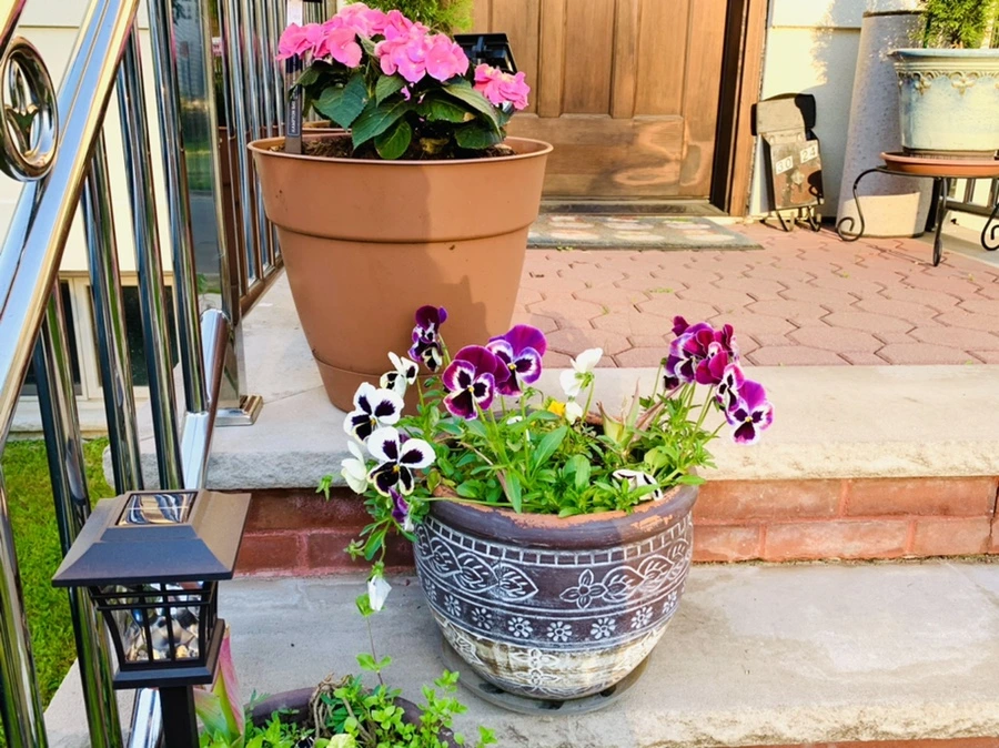 IMG_3260.jpg?type=w966