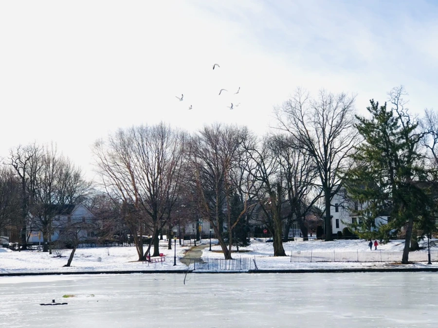 IMG_3209.jpg?type=w966