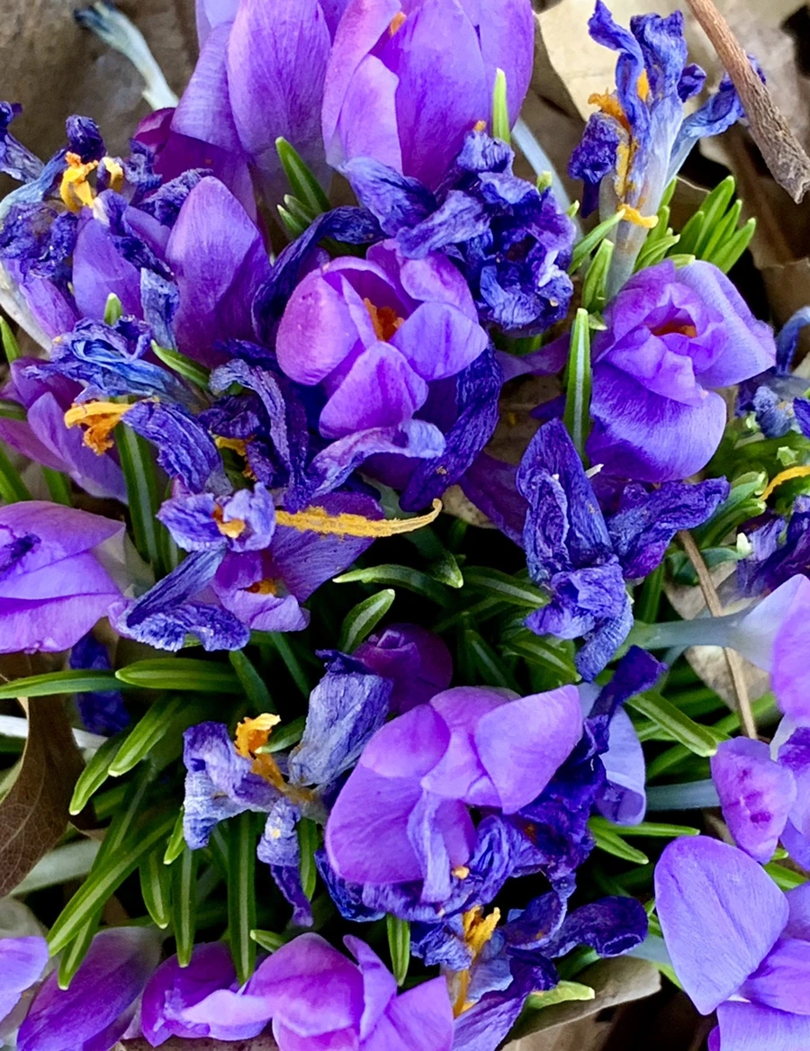 IMG_1429.jpg?type=w966