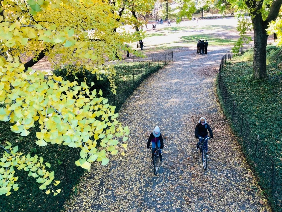 IMG_7651.jpg?type=w966