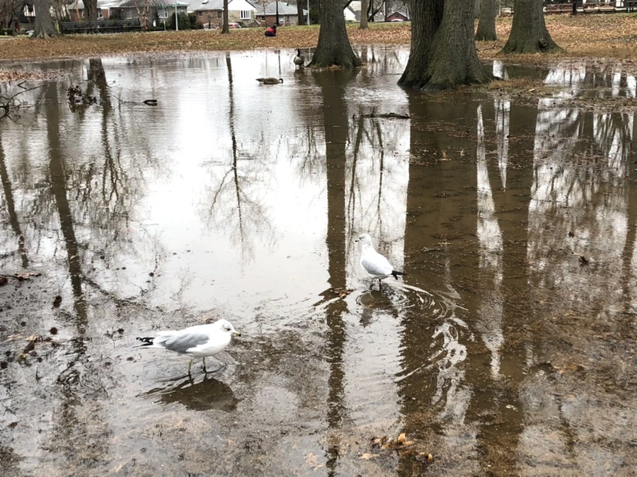 IMG_9484.jpg?type=w966